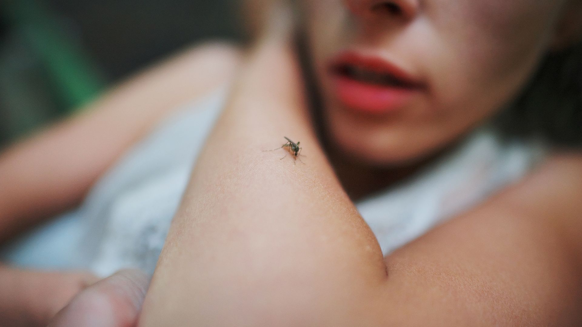 Meilleure prise anti-moustique : conseils pour la choisir et bons plans