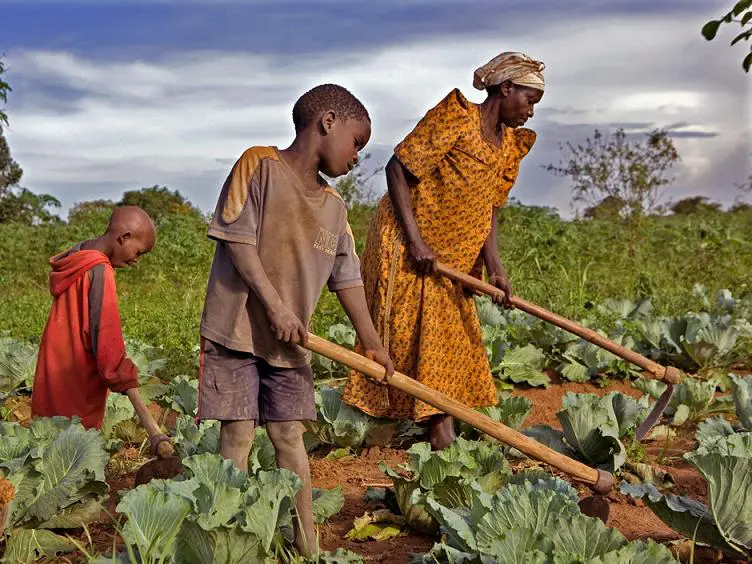 accaparement terres agricoles
