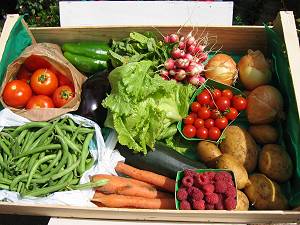 Les AMAP permettent la livraisn de paniers de fruits et légumes de saison