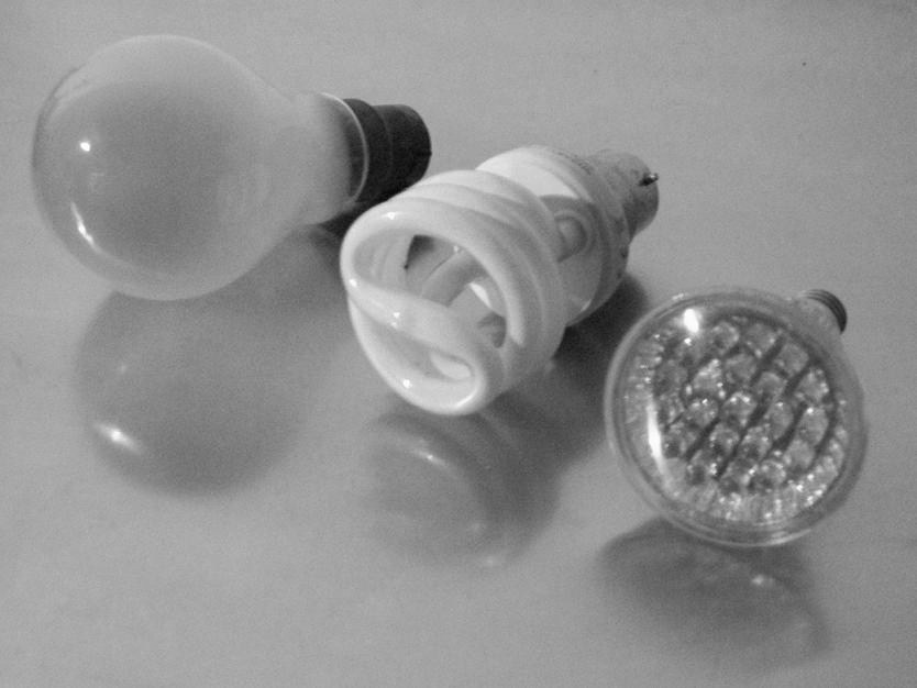LFC, LED, halogène ou ampoule incandescente, le choix est large en magasins. © Natura Sciences