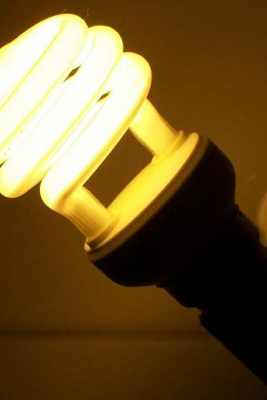 Les lampes fluocompactes sont désormais bien acceptées par les particuliers.© Natura Sciences