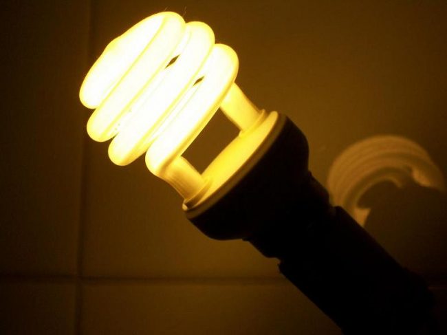 Les lampes fluocompactes sont désormais bien acceptées par les particuliers.© Natura Sciences