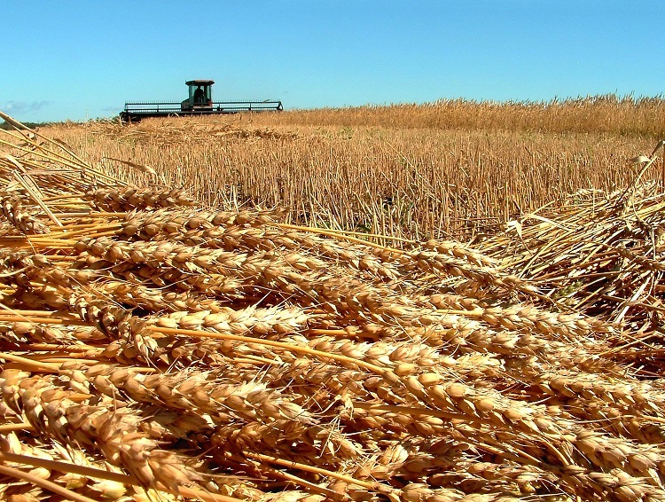industrialisation-agriculture surpopulation nature