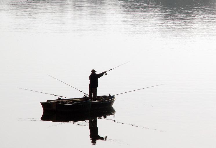 Un nouveau site internet permet de télé-déclarer les prises des pêcheurs de loisir. © Bill Tyne