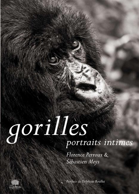 Gorilles, portraits intimes
