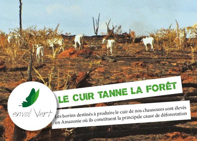 campagne "le cuir tanne la forêt" d'envol vert
