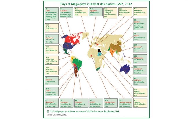 pays producteurs d'OGM