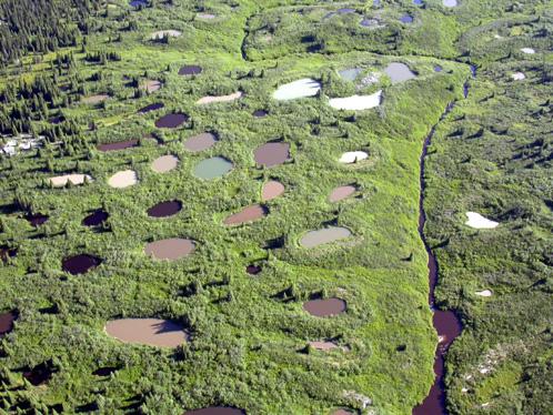 fonte permafrost arctique