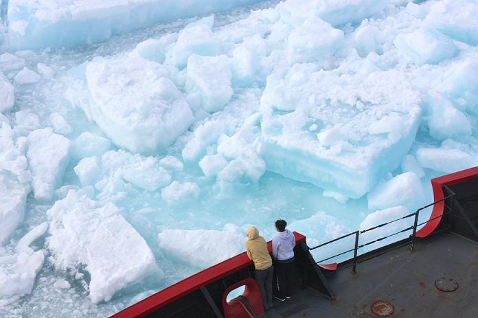 banquise arctique