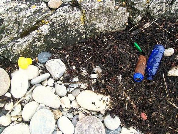 déchets marins