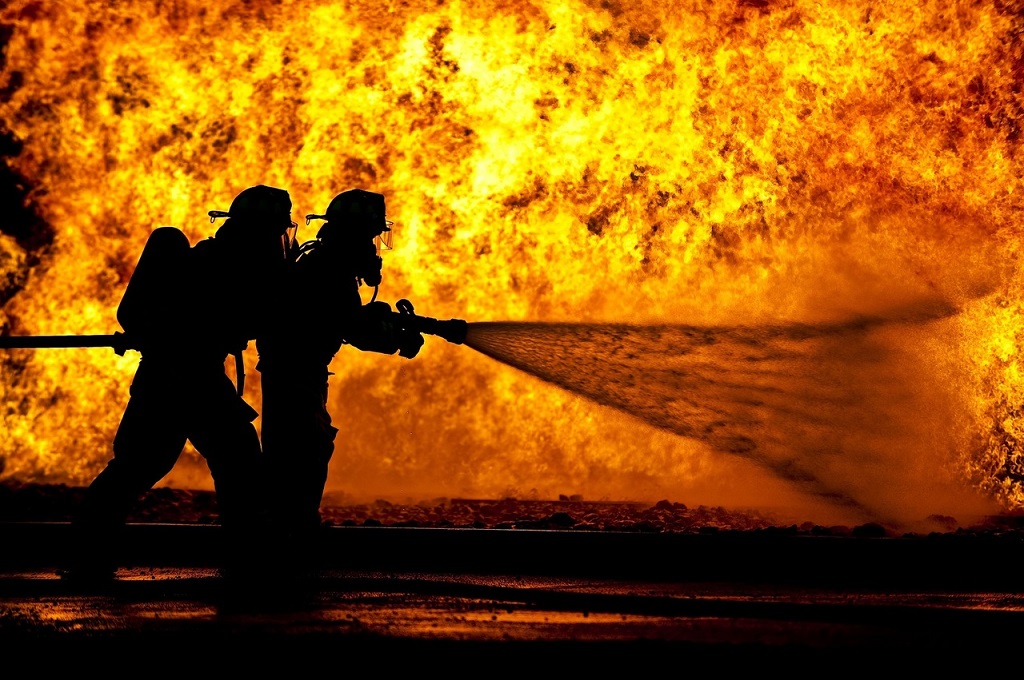 incendie espèces menacées
