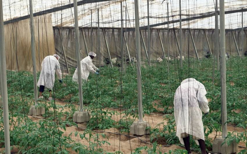 produire bio un business comme les autres