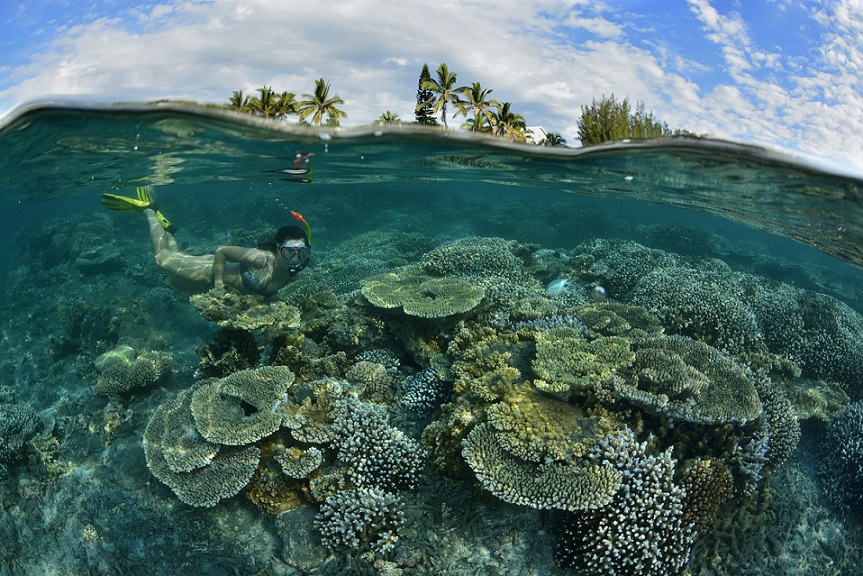 voyage réunion