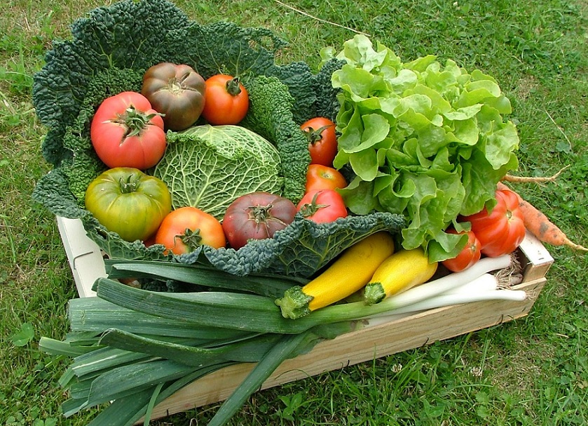 manger bio et local