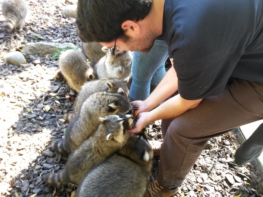 soigneur d'un jour Beauval