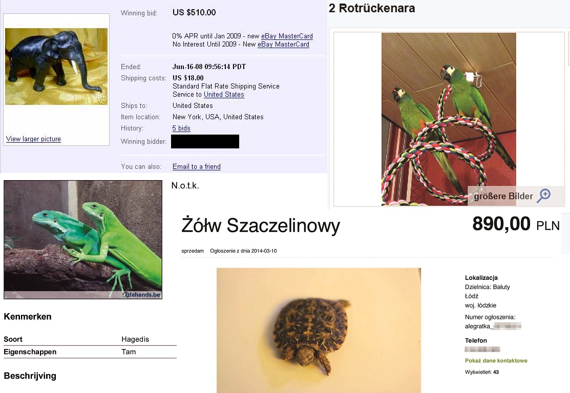 espèces menacées internet