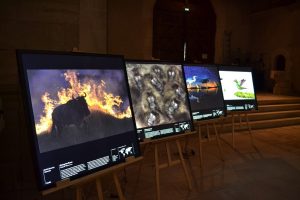 exposition photo Montier-en-der