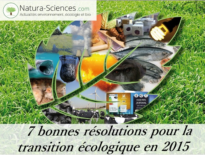 bonnes résolutions écolo