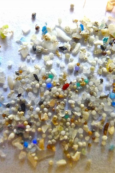 microplastiques oceans
