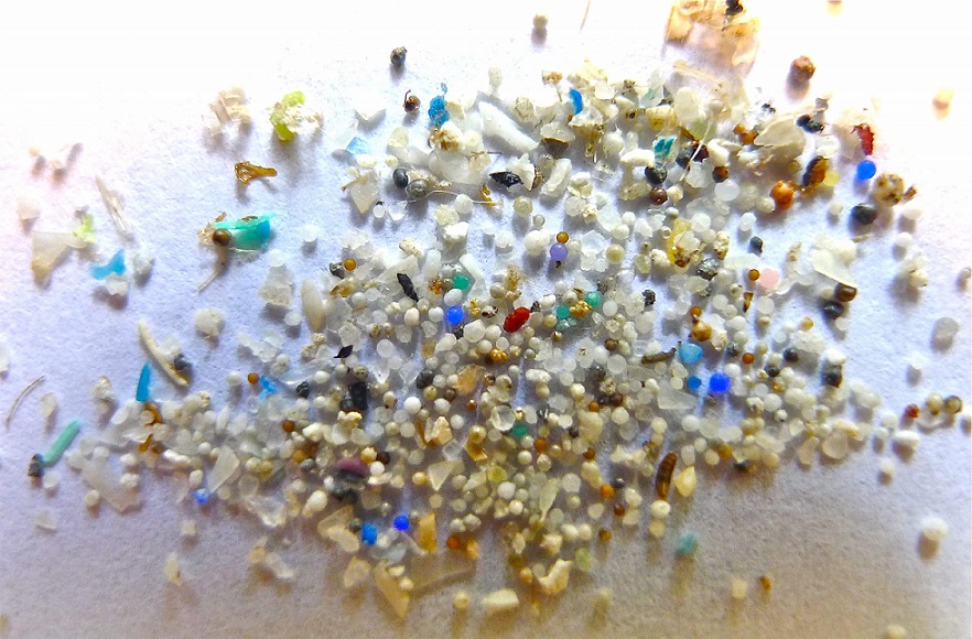 microplastiques oceans