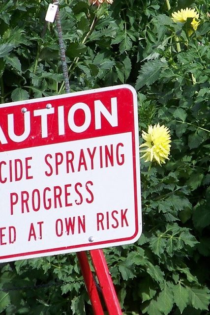 AMM pesticides anses