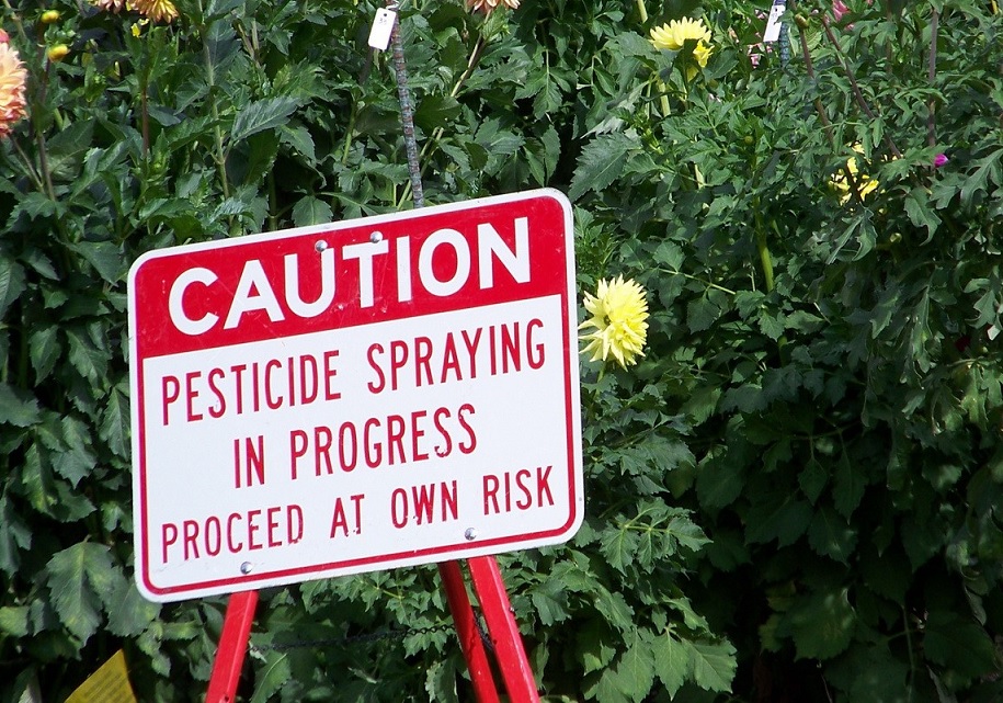 AMM pesticides anses