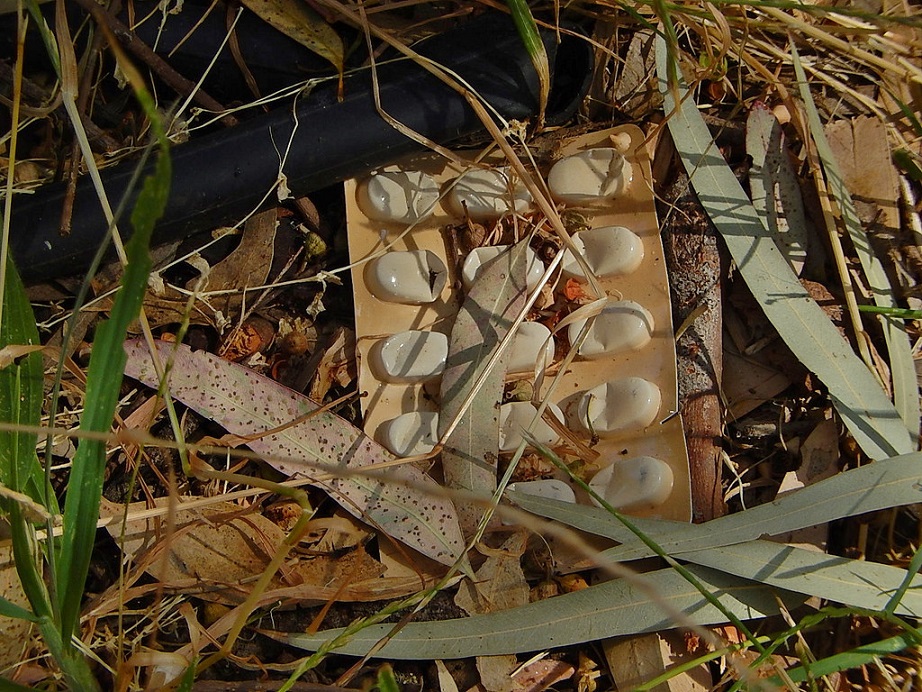médicaments pollution environnement