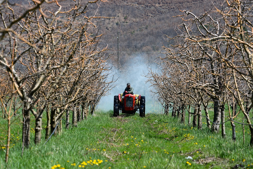 cash investigation pesticides