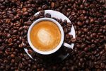 gourmesso cafe bio