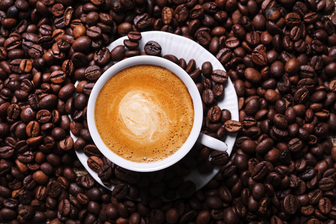 gourmesso cafe bio