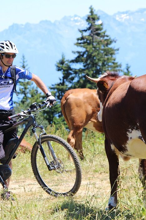 vtt électrique montagne