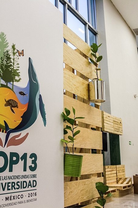 COP13 biodiversité Cancún