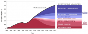 phosphore évolution consommation