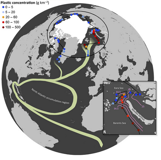 plastique arctique