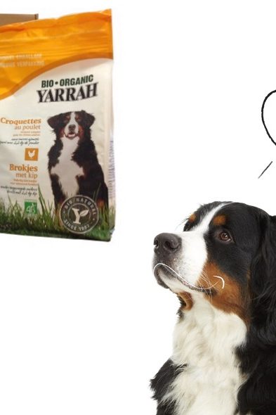 yarrah bio animal de compagnie