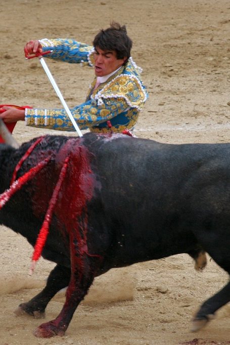 SPA plainte cruauté animaux