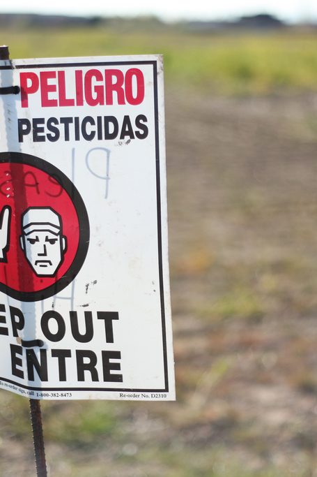 pesticides alternatives