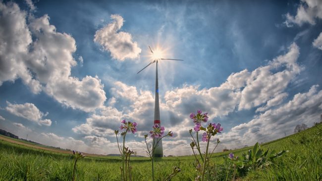 choisir électricité verte