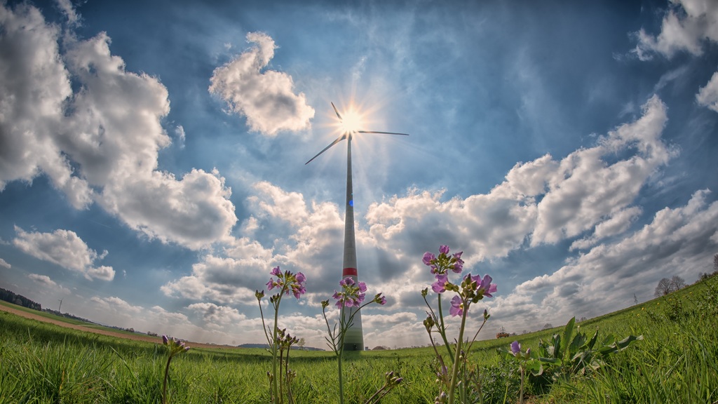 choisir électricité verte