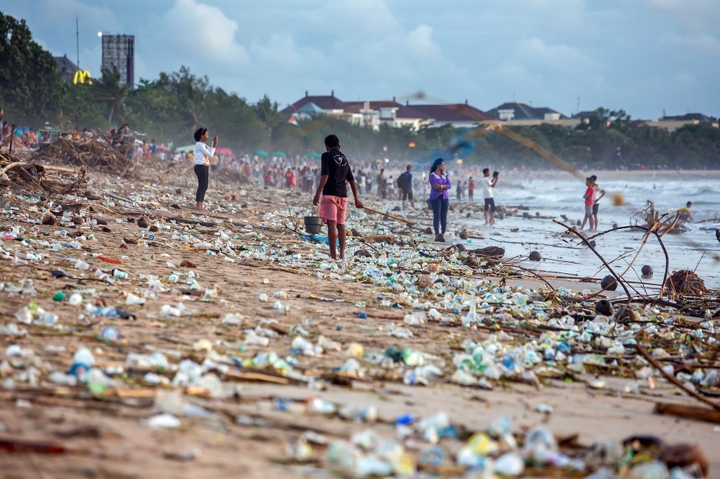 ipbes économie biodiversité