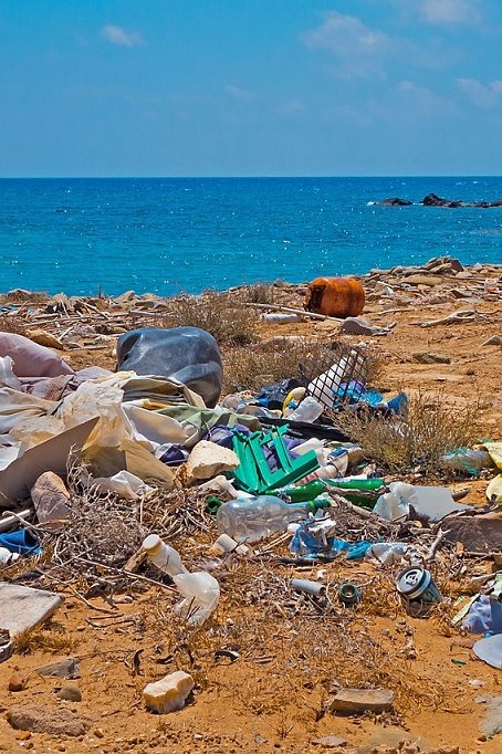 pollution plastique méditerranée wwf