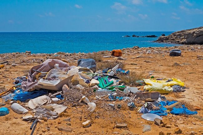 pollution plastique méditerranée wwf