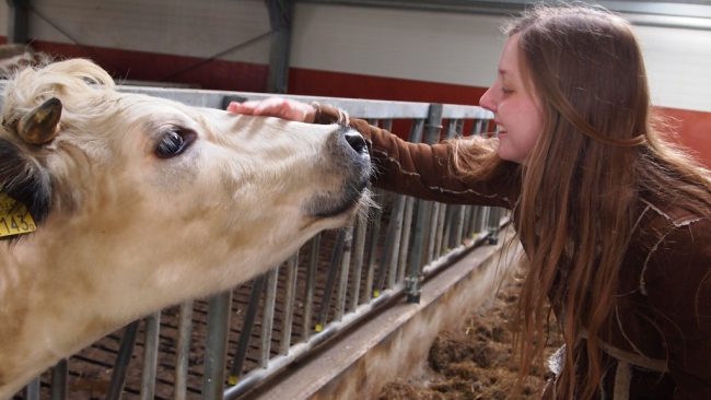 manger animaux pourquoi