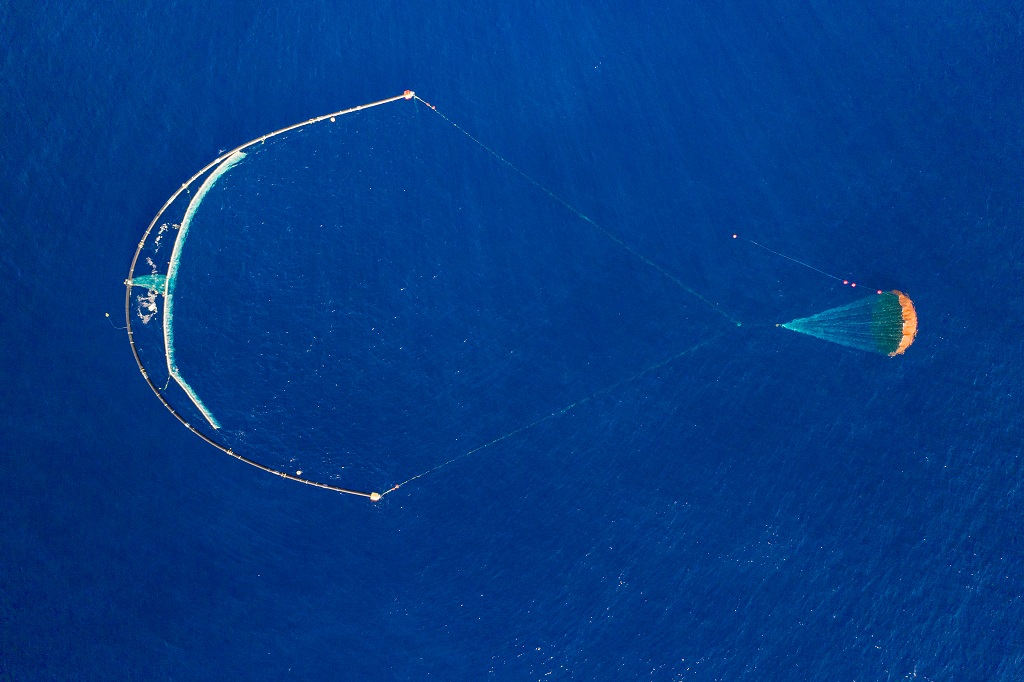dépollution ocean cleanup