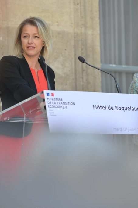 barbara pompili ministre de la transition écologique