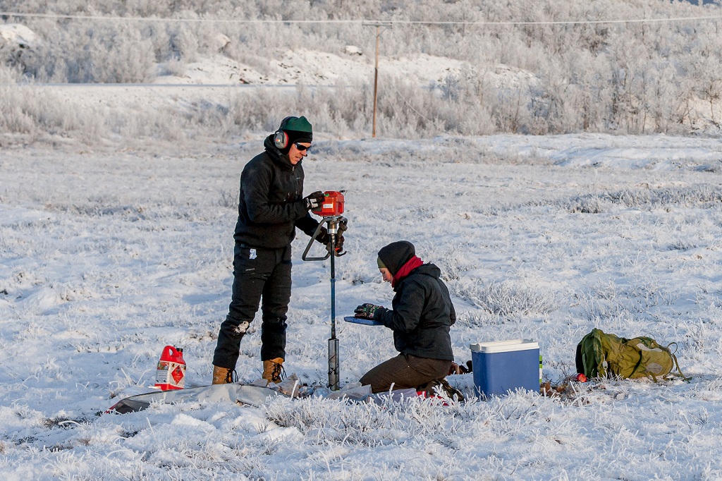 permafrost racines émissions carbone