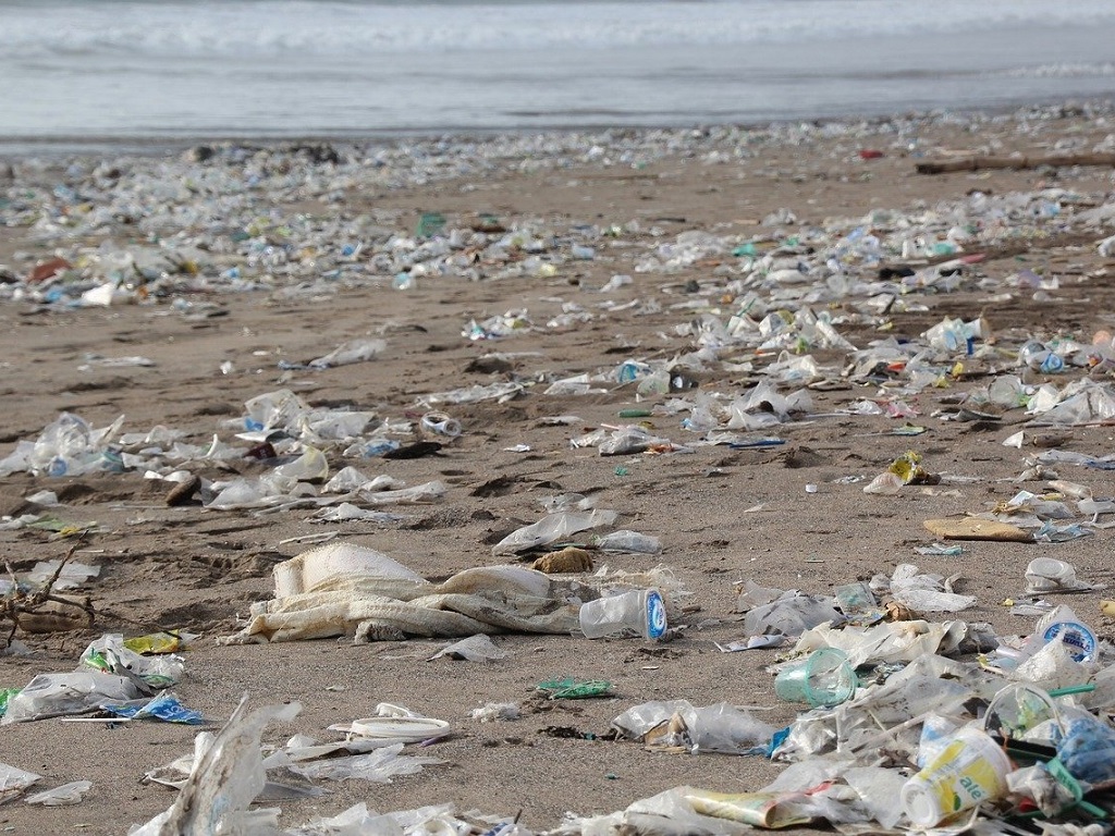 pollutions plastiques sur les plages une bombe à retrdement