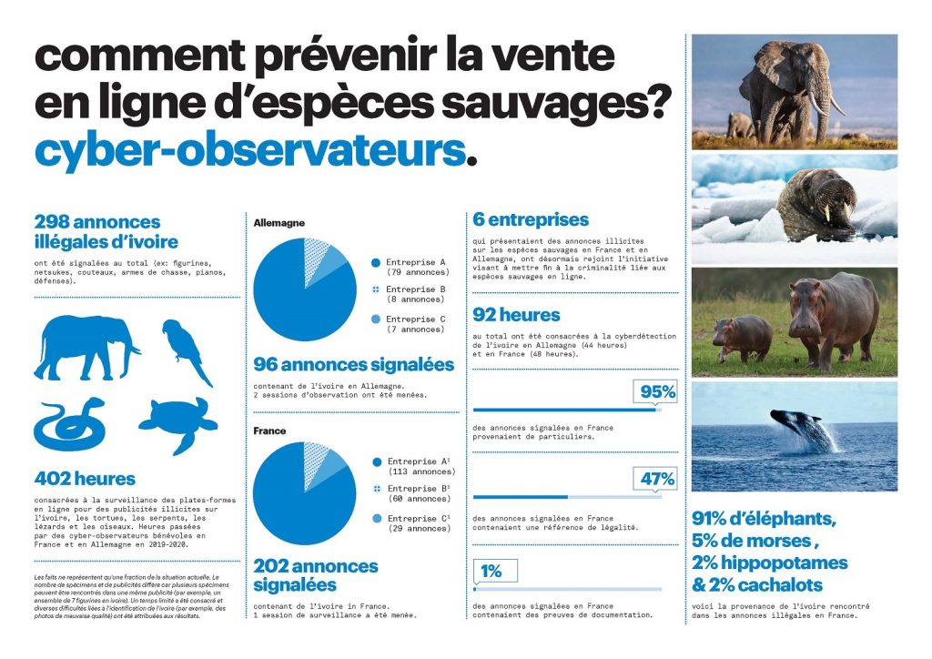 Résultats cyber-observateurs ifaw