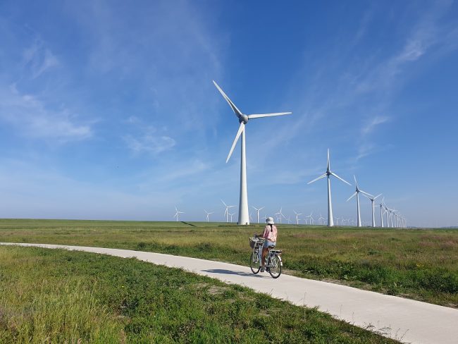 Les éoliennes deviennent la troisième source d'électricité en France