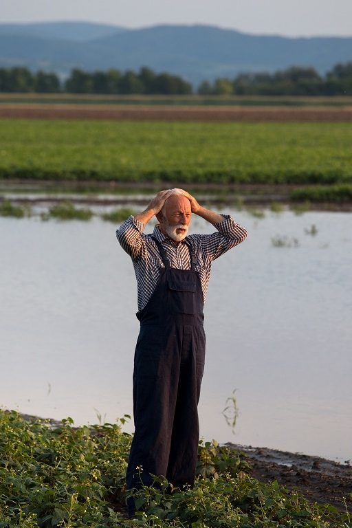 onu systèmes alimentaires péril